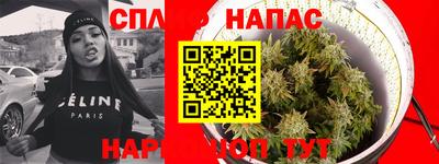прущие крисы Будённовск