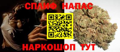 прущие крисы Будённовск