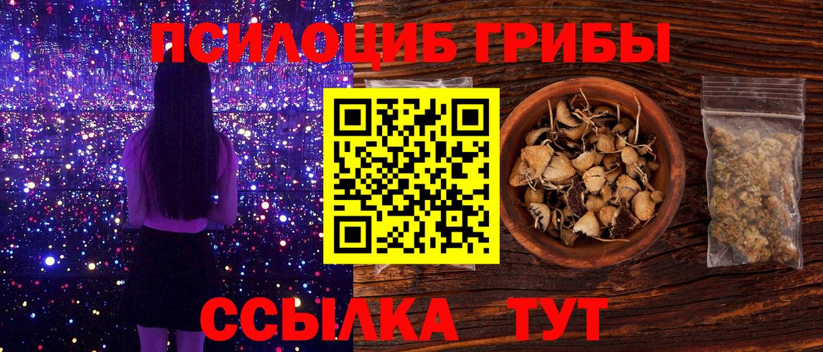 Тосно  Псилоцибиновые грибы прущие грибы  Вход с VPN 